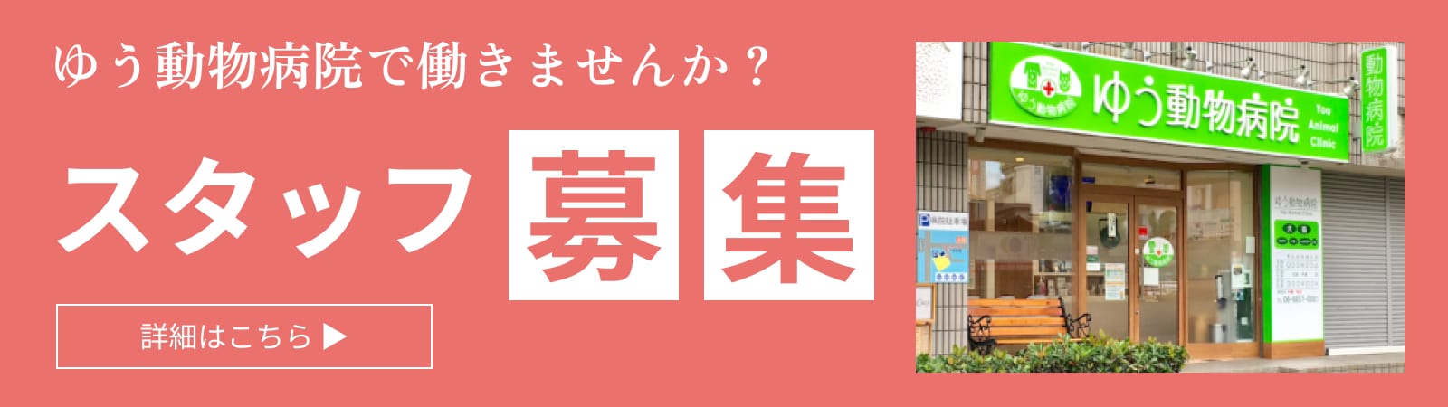 スタッフ募集　詳細はこちら